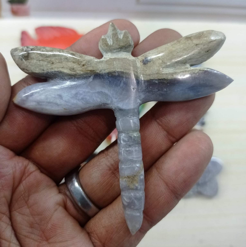 Maligango dragonfly - Picture 1 of 1